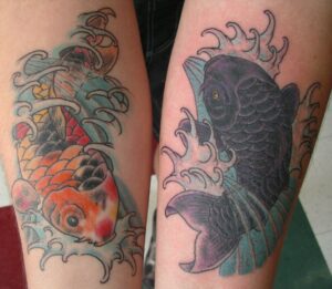 Japanese koi